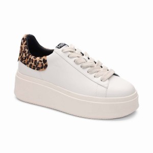 Ash Moby Leopard Platform Sneakers Damen Weiß | 599660-512